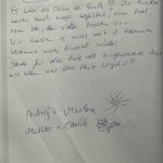 Hausboot Seeblick-Marina Wieltsee-Gästebuch-Bewertungen von unseren Gästen