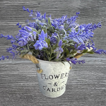 Lavendel im Blumentopf